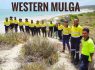 Western Mulga – Venture Profile
